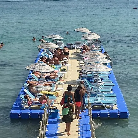 Sultans And Kings 3*