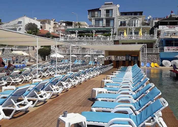 Sultans And Kings 3*